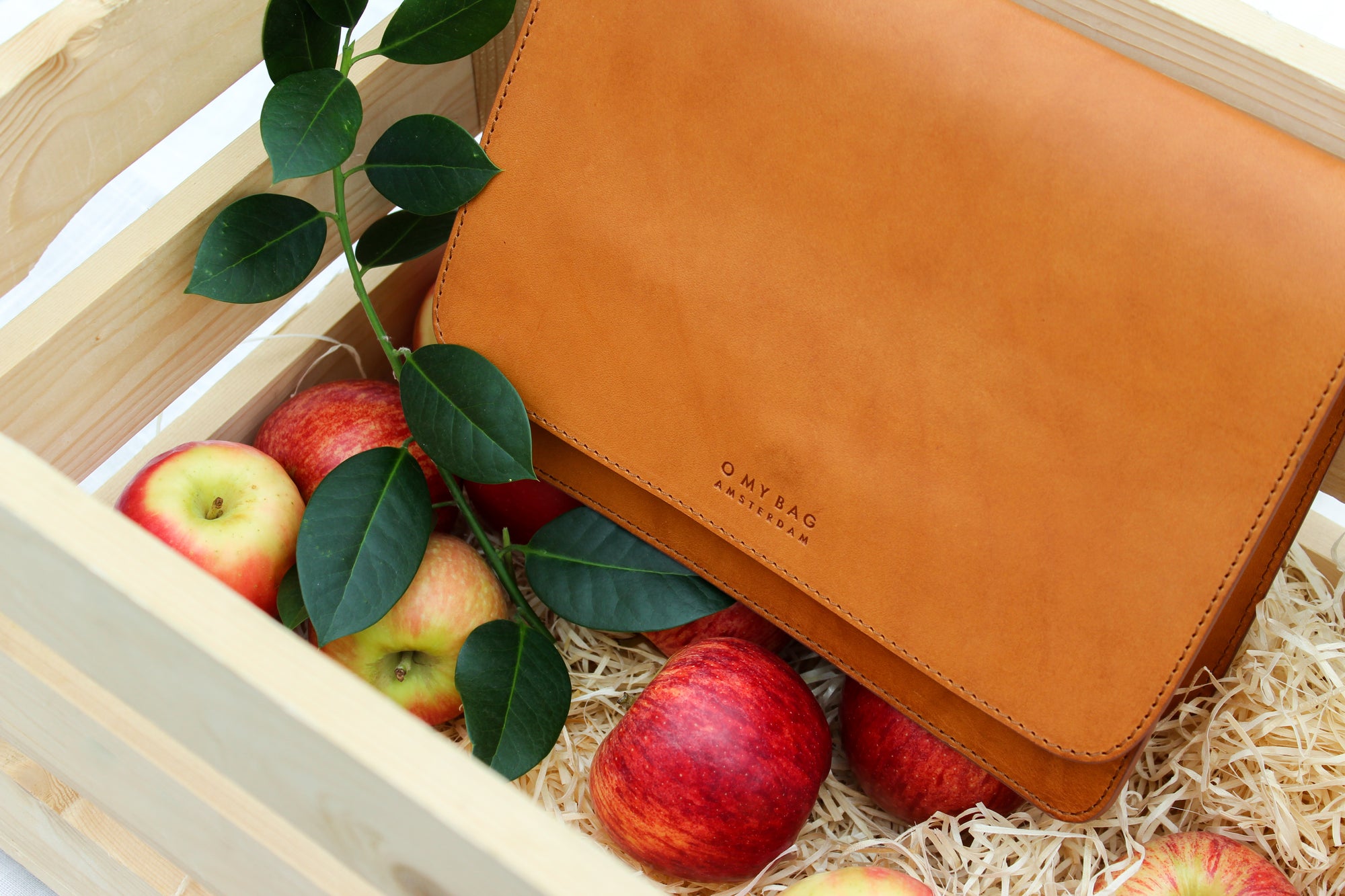 An Introduction to Apple Leather