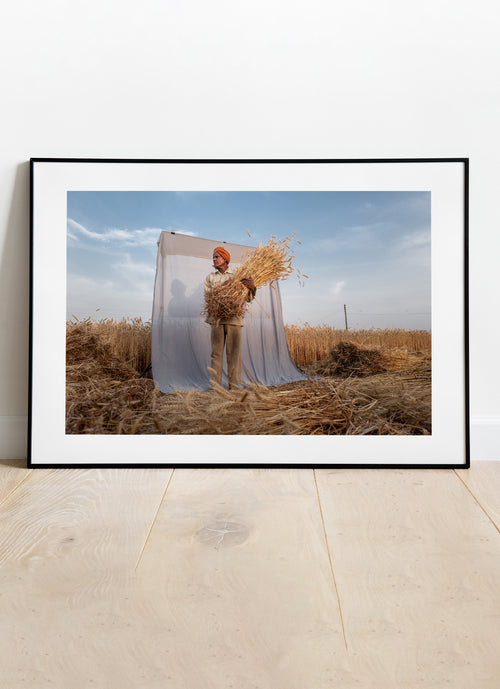 Photo print by Shivam in the frame, The Harvest