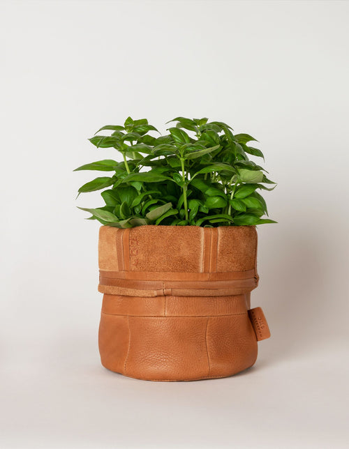 Leather Pot Wild Oak Soft Grain Leather. Round leather plant pot. Homeware by O My Bag. Front product image with plant.