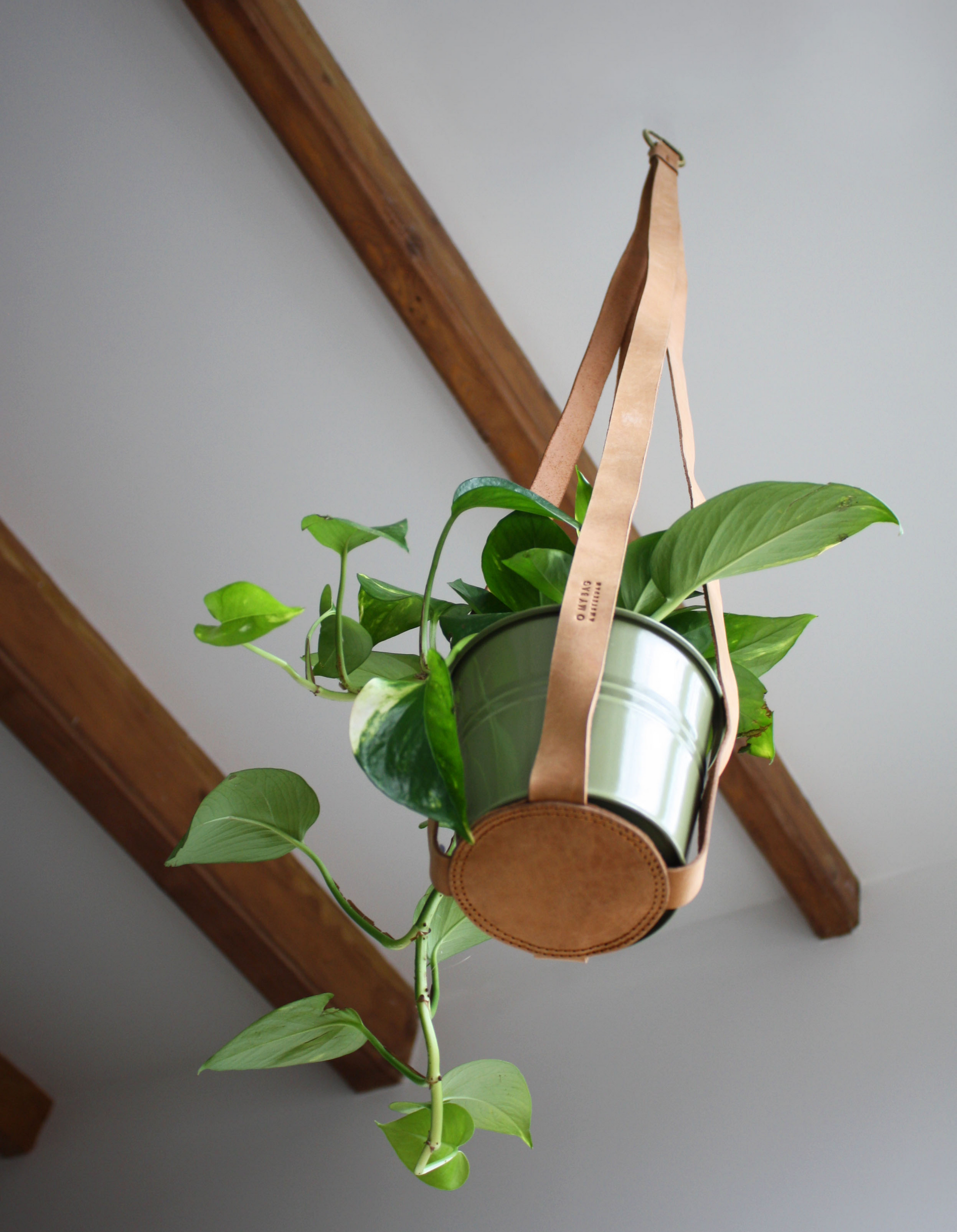 Plant pot hanger Wild Oak Soft Grain Leather. Round leather plant hanger. Homeware by O My Bag. Lifestyle image with plant in plant pot hanger..